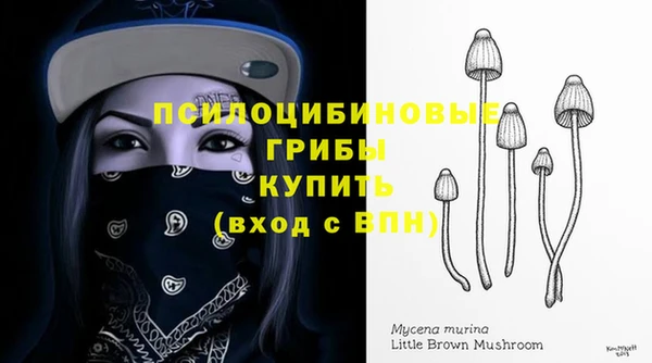 МДПВ Белокуриха